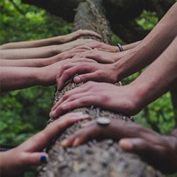 un-equipo-conectado